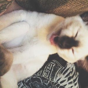 Meet your Posher, Randy